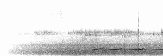 Анаперо-довгокрил рудочеревий - ML239309721