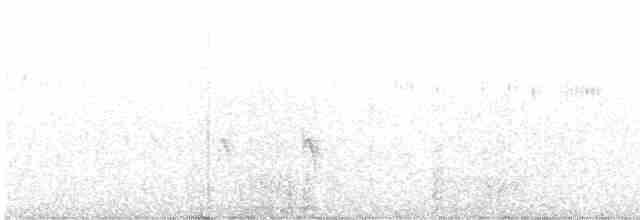 Red Crossbill (Ponderosa Pine or type 2) - ML239317831