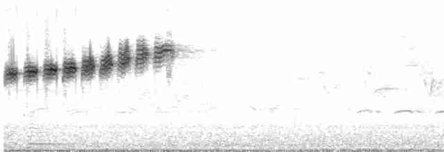 Prairie Warbler - ML239326501