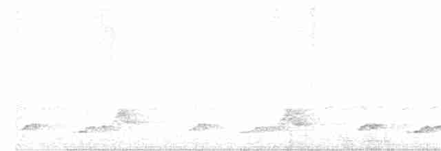 Schwarzkehl-Nachtschwalbe - ML239336301