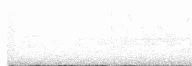 Червоїд сіроголовий - ML239340531