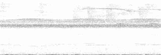 Ерміт-серподзьоб темнохвостий - ML239376481