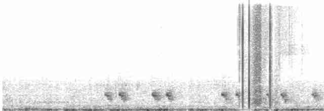 Red-necked Nightjar - ML239395451