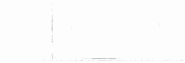 Сероголовая голубка - ML239417301