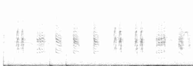 Common Reed Warbler (Caspian) - ML239469361