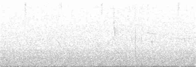 Черногорлая хвойница - ML239485241