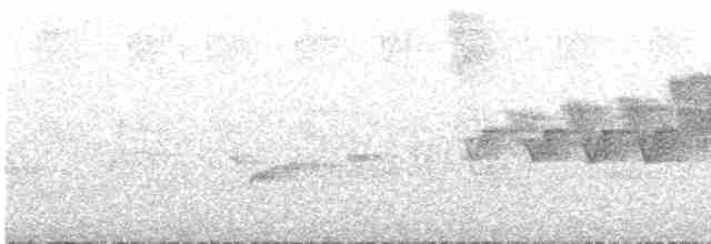 Cerulean Warbler - ML239515831