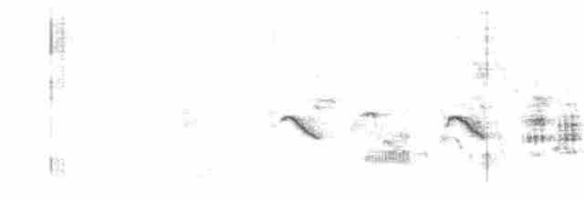 Пустынная пересмешка - ML239523051