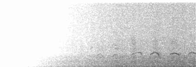 gråskrike (canadensis gr.) - ML239550651