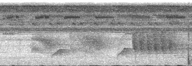 Bluish-slate Antshrike - ML23957