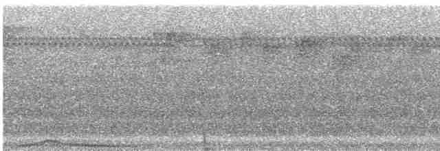 holub temnokřídlý - ML239618
