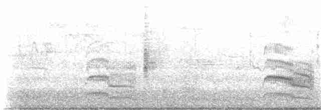 Common Tern - ML239643161