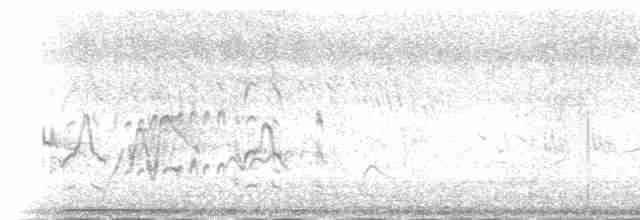 Dendrocygne siffleur - ML239722