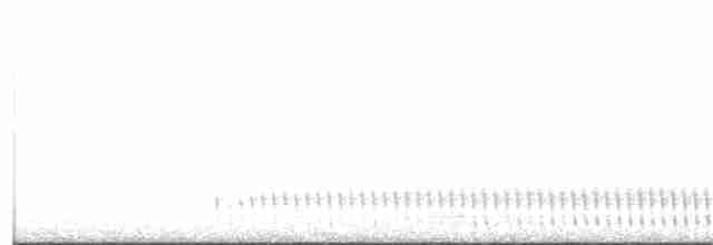 Eurasian Nightjar - ML239725001