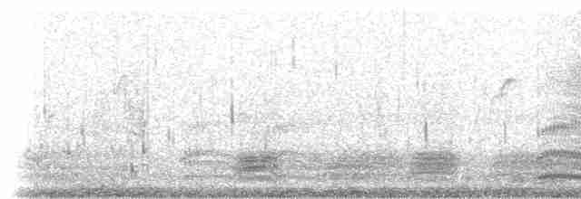 volavka přímořská (ssp. schistacea) - ML239737