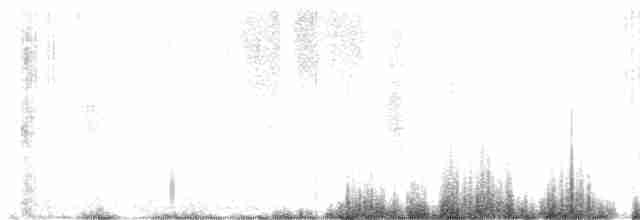 Eastern Black-eared Wheatear - ML239738051