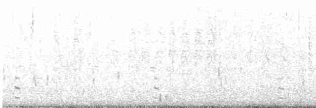 Common Gallinule - ML239741491