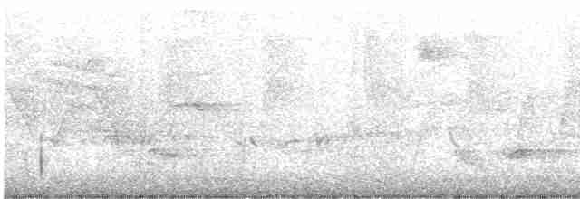 Acadian Flycatcher - ML239762901