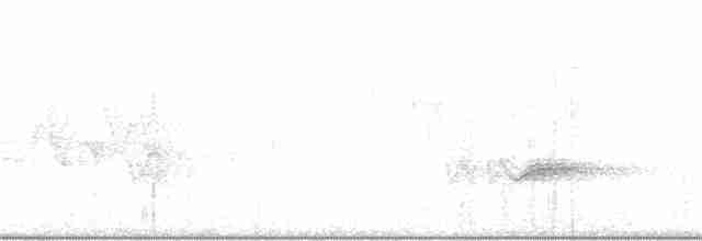 Paruline vermivore - ML239764241