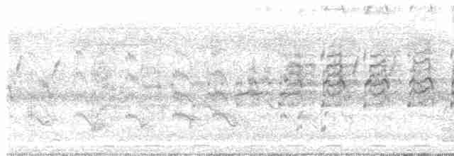 Бронзовокрылая якана - ML239765