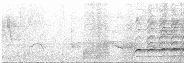 Pileated Woodpecker - ML239788891