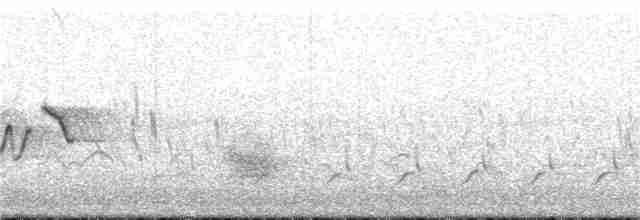 Doğulu Mavi Ardıç - ML239821991