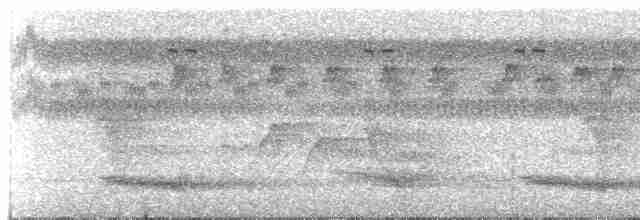 Channel-billed Toucan (Yellow-ridged) - ML239859