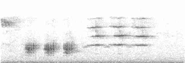 Great Reed Warbler - ML239864811
