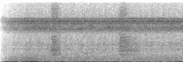 Мурав’янка-прудкокрил рондонійська - ML239870