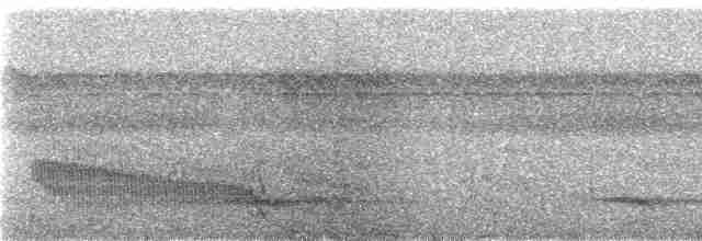 Weißbrust-Ameisenvogel - ML239879