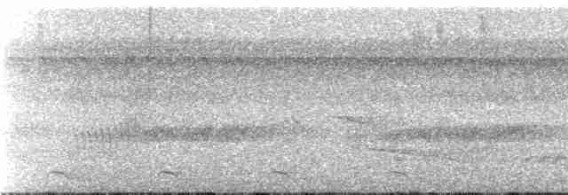 Зубчатоклювый крапивник - ML239897