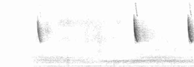 Белобровая x Чернобровая овсянка (гибрид) - ML239900311