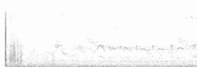 White-eyed Vireo - ML239903401