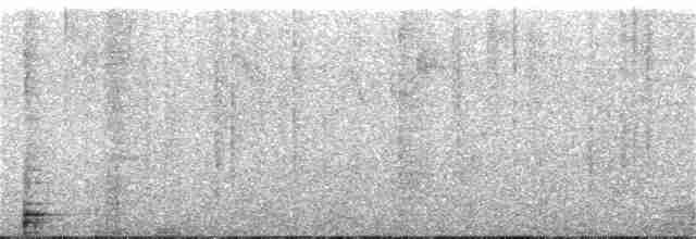 Bakır Belli Kolibri - ML239947211