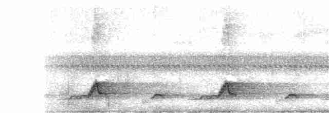 Schwarzkehl-Nachtschwalbe - ML239961601