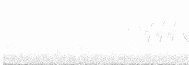 Kızılağaç Sinekkapanı - ML240001021
