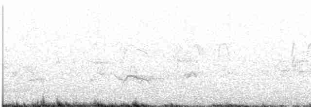 Eurasian Oystercatcher - ML240004981