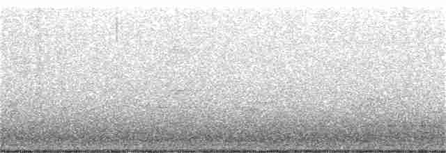Bicknell Bülbül Ardıcı - ML240024021