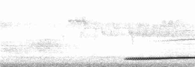 Красногрудая лесная куропатка - ML240032881