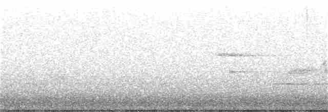 Bicknell Bülbül Ardıcı - ML240039981