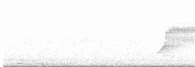 Дрізд-короткодзьоб Cвенсона - ML240058361