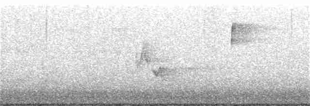Дрізд-короткодзьоб канадський - ML240069131