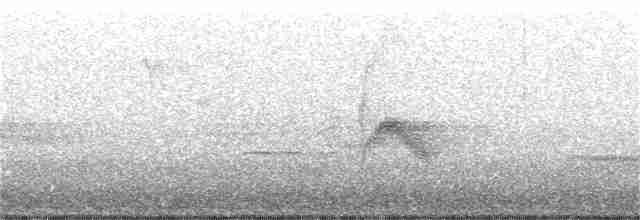 Bicknell Bülbül Ardıcı - ML240071731