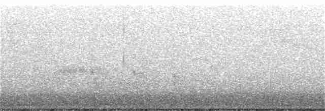 Bicknell Bülbül Ardıcı - ML240075281