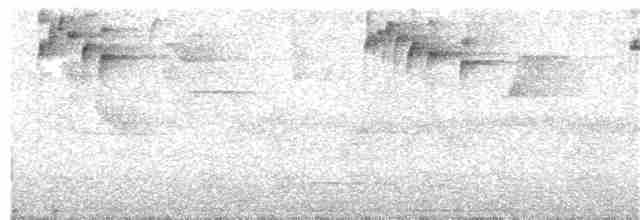 Troglodyte montagnard - ML24008271