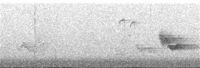 Красноглазый виреон - ML240107931