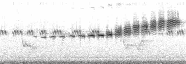 Prairie Warbler - ML240108841