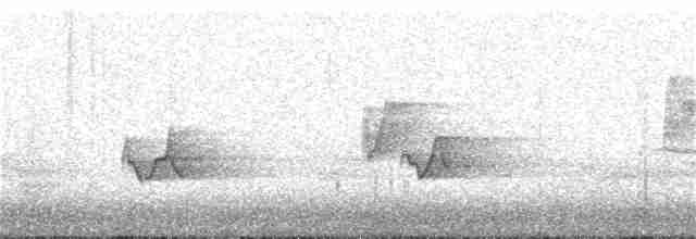 Kara Kanatlı Piranga - ML240109251