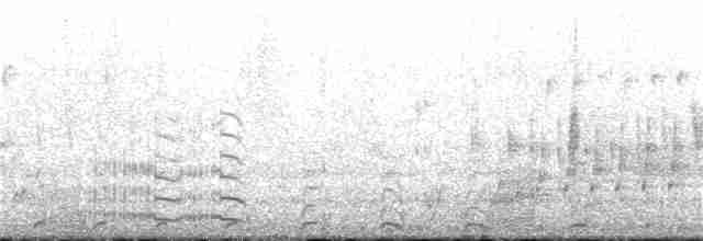 Common Gallinule (American) - ML240110071