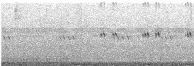 Prairie Warbler - ML240110541